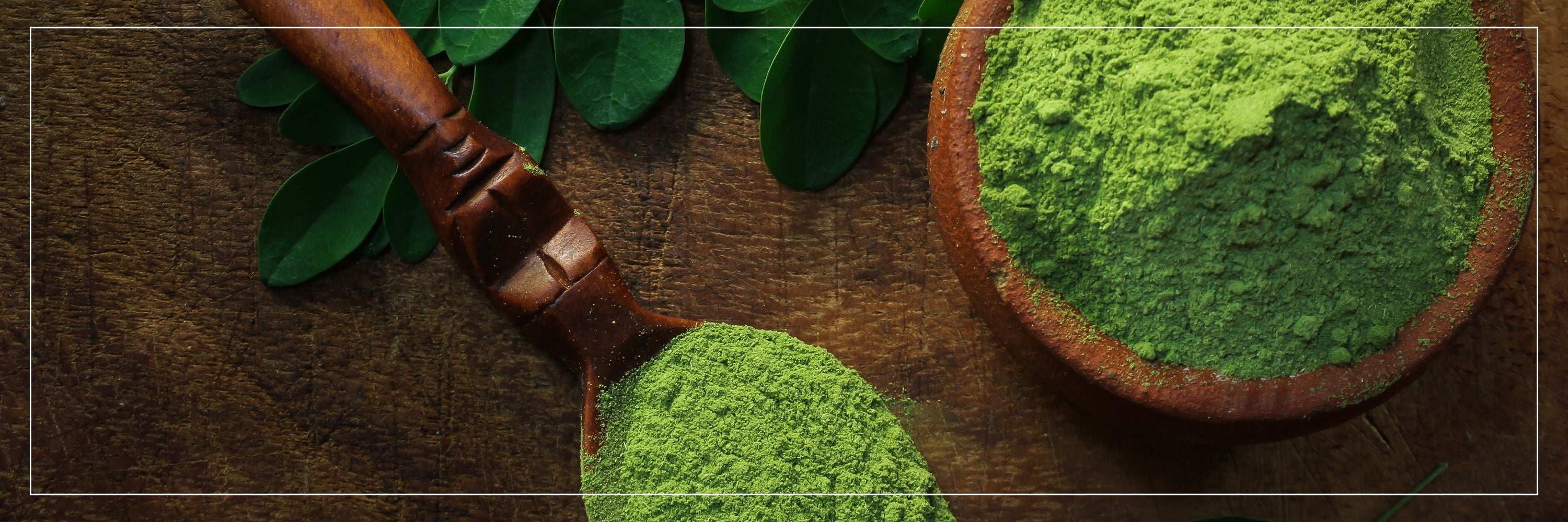 10 Proven Benefits of Organic Moringa Leaf Powder for Everyday Wellness