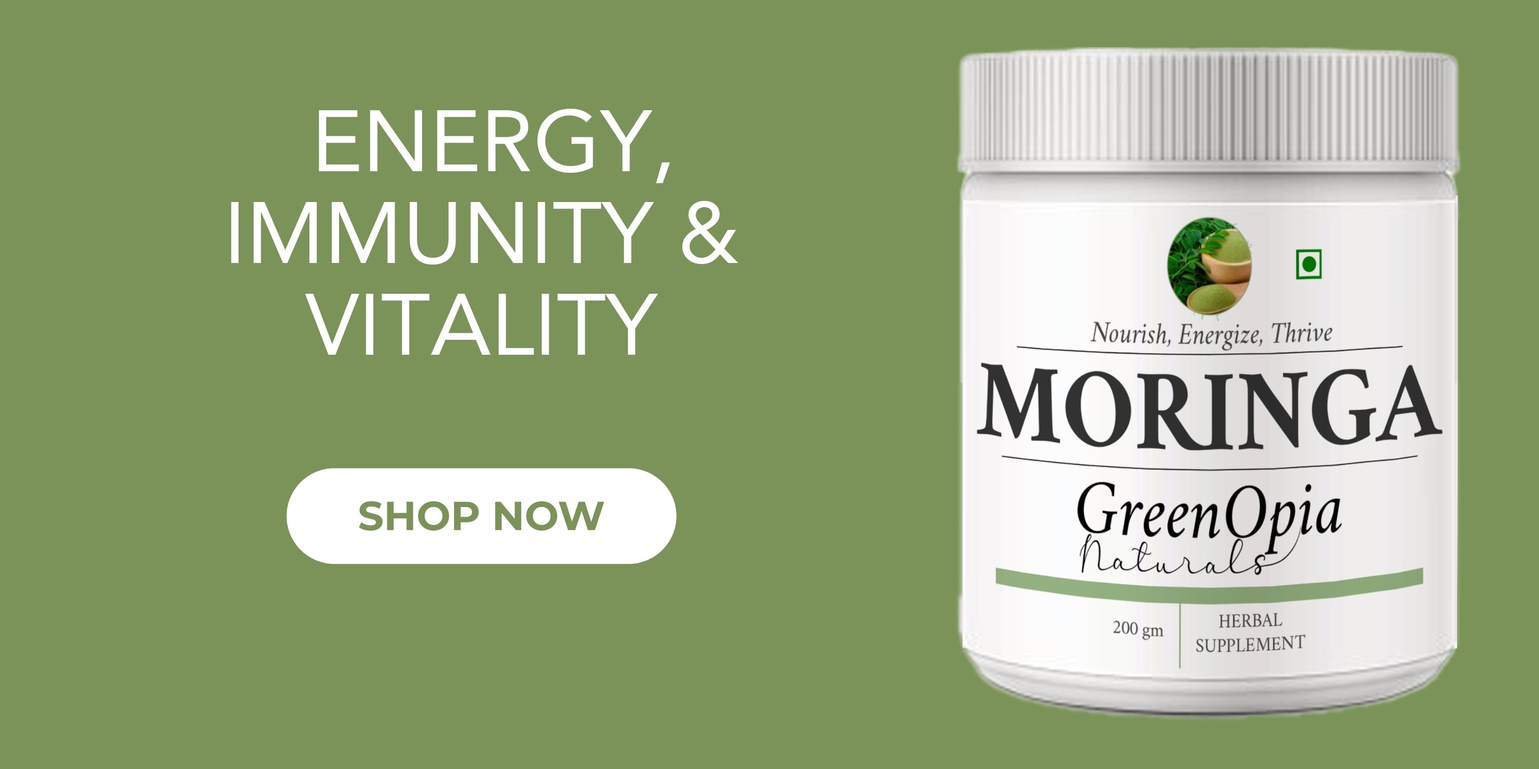 Moringa Oleifera Powder: Nature’s Multivitamin for Energy, Immunity & Vitality