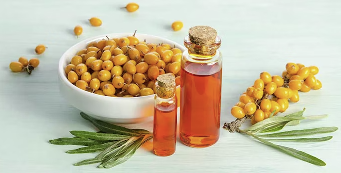 4 Amazing Health Benefits of Using Sea Buckthorn Oil by GreenOpia Naturals
