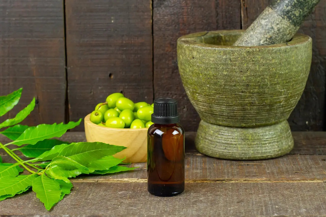 GreenOpia Naturals: Unveiling the Unique Selling Proposition (USP) of an Ayurvedic Wellness Journey GreenOpia Naturals