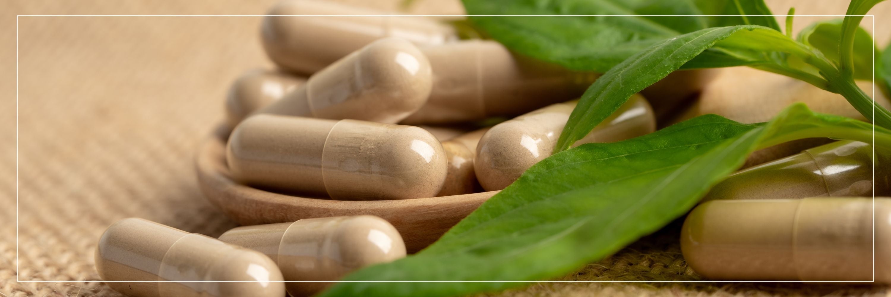 Top FSSAI-Certified Herbal Capsules Available Online in India