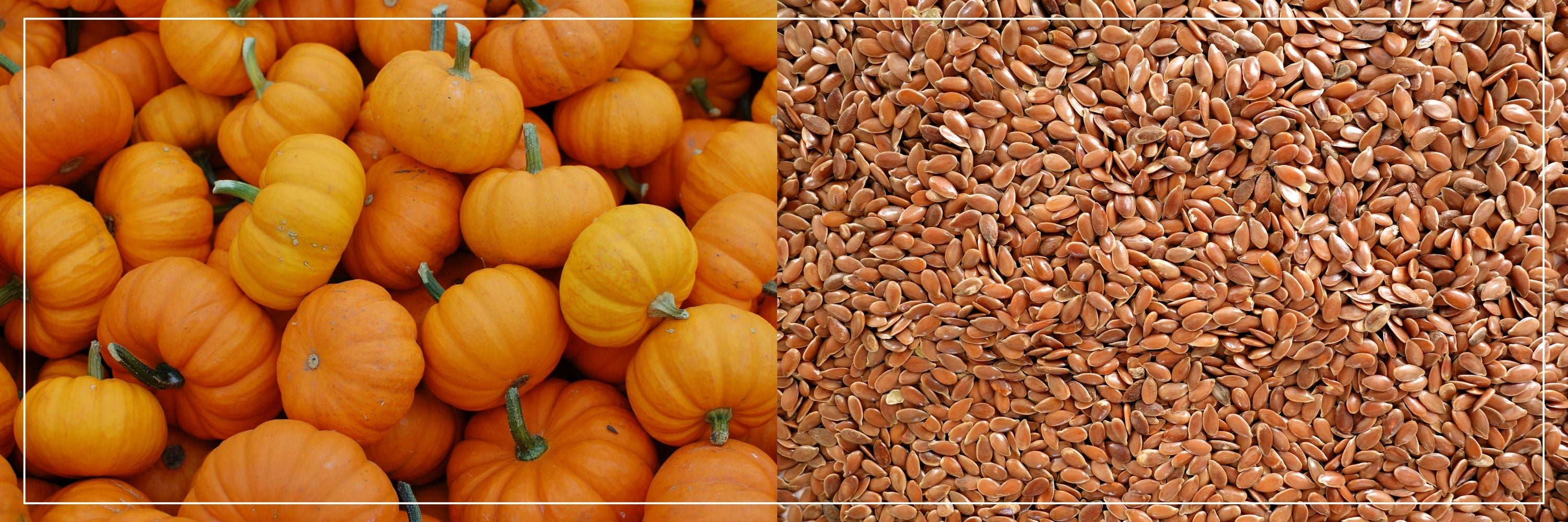 Pumpkin Seed + Flaxseed Capsules: Plant-Based Power for Prostate, Heart & Hormonal Balance