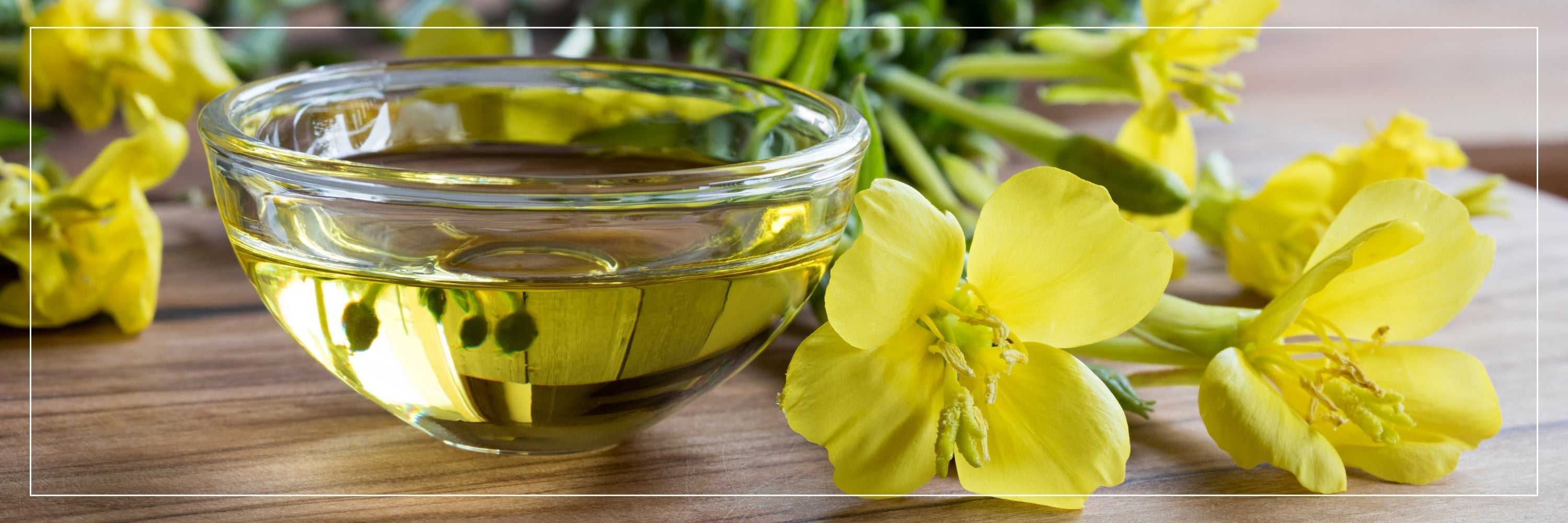 Evening Primrose Oil for Indian Women: A Gentle Wellness Ally