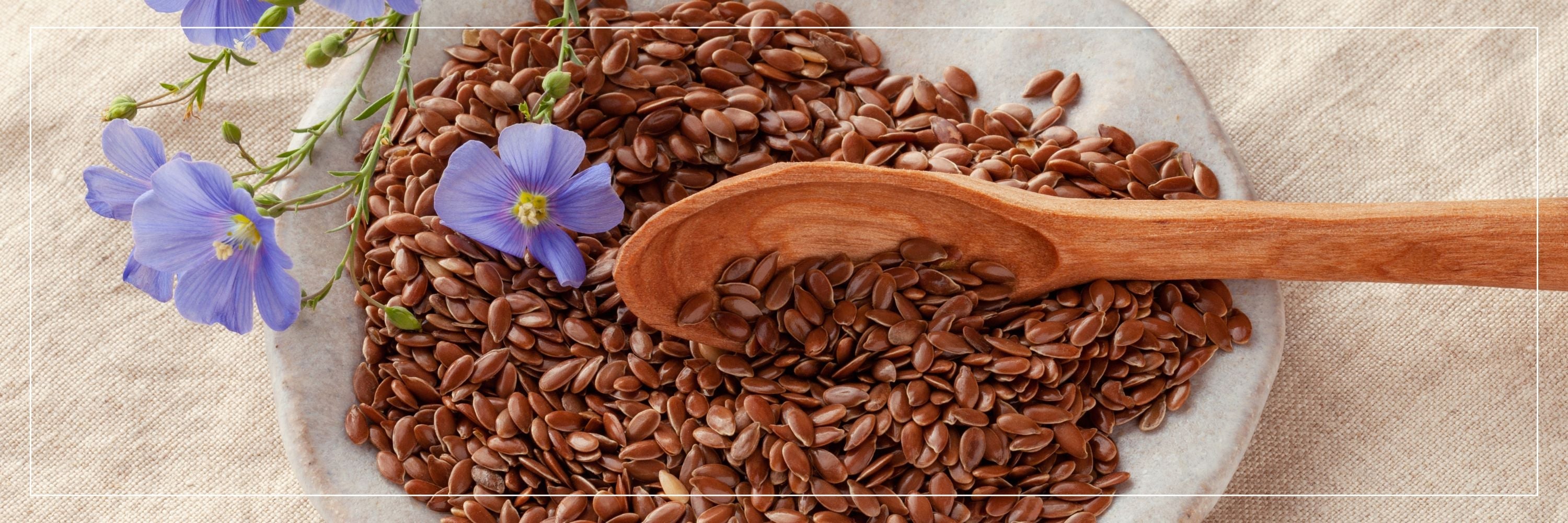 Flaxseed Oil Benefits: Why This Plant-Based Omega Is a Must-Have