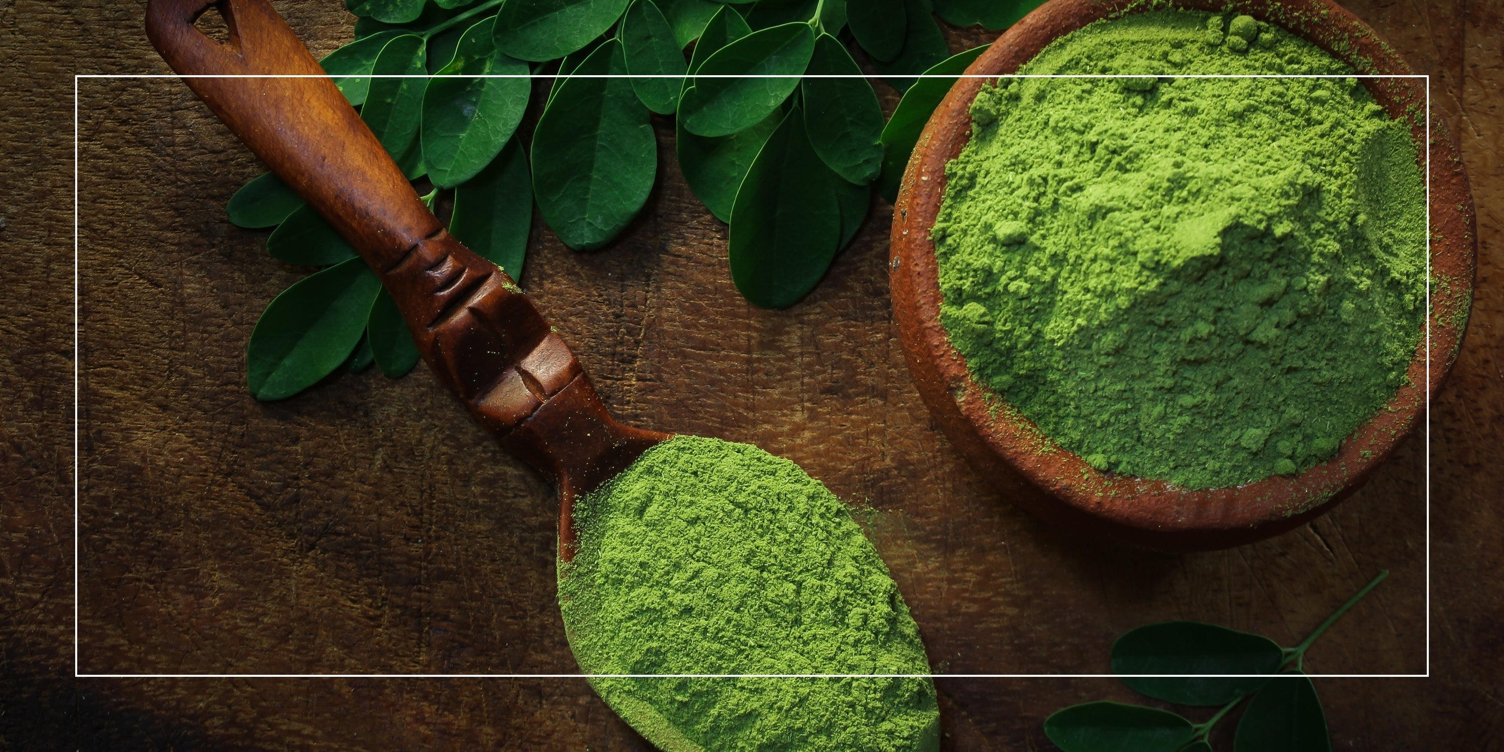 Is Moringa Powder Good for Muscle Recovery? What the Research Says