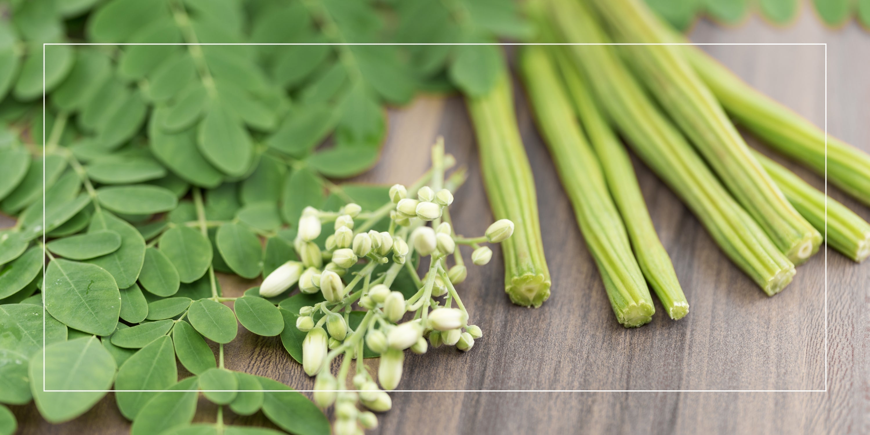 Moringa Leaf Capsules: A Convenient Way to Embrace Nature’s Green Goodness GreenOpia Naturals