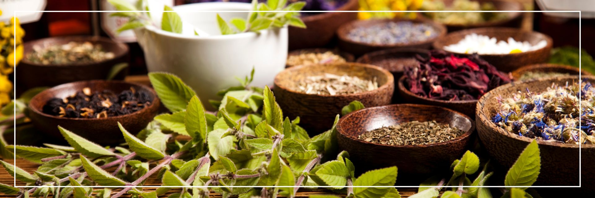 Natural Remedies for Bloating and Indigestion: What Works in Indian Households?