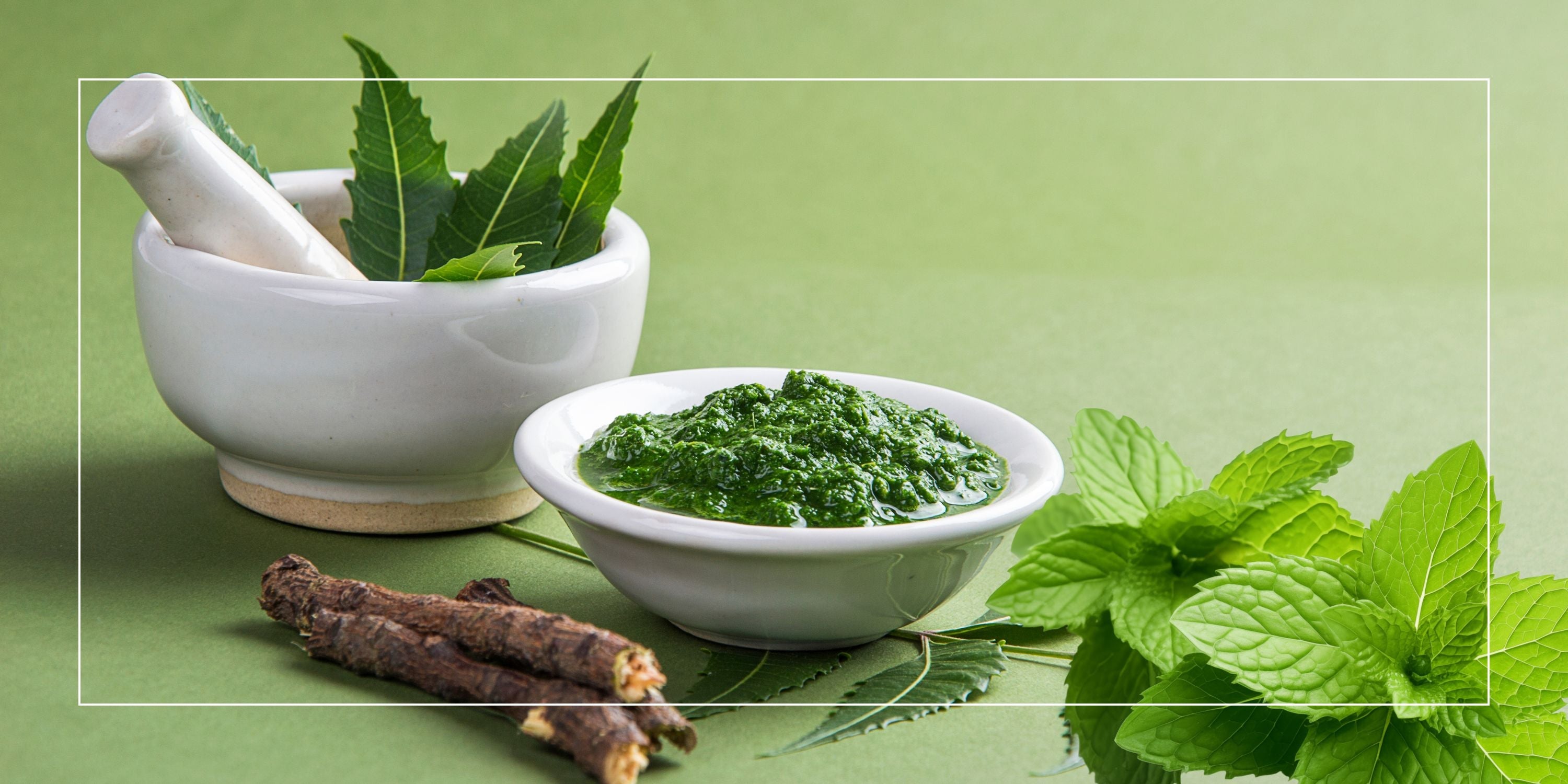 Neem + Peppermint Capsules: Plant-Based Support for Skin, Digestion & Inner Balance