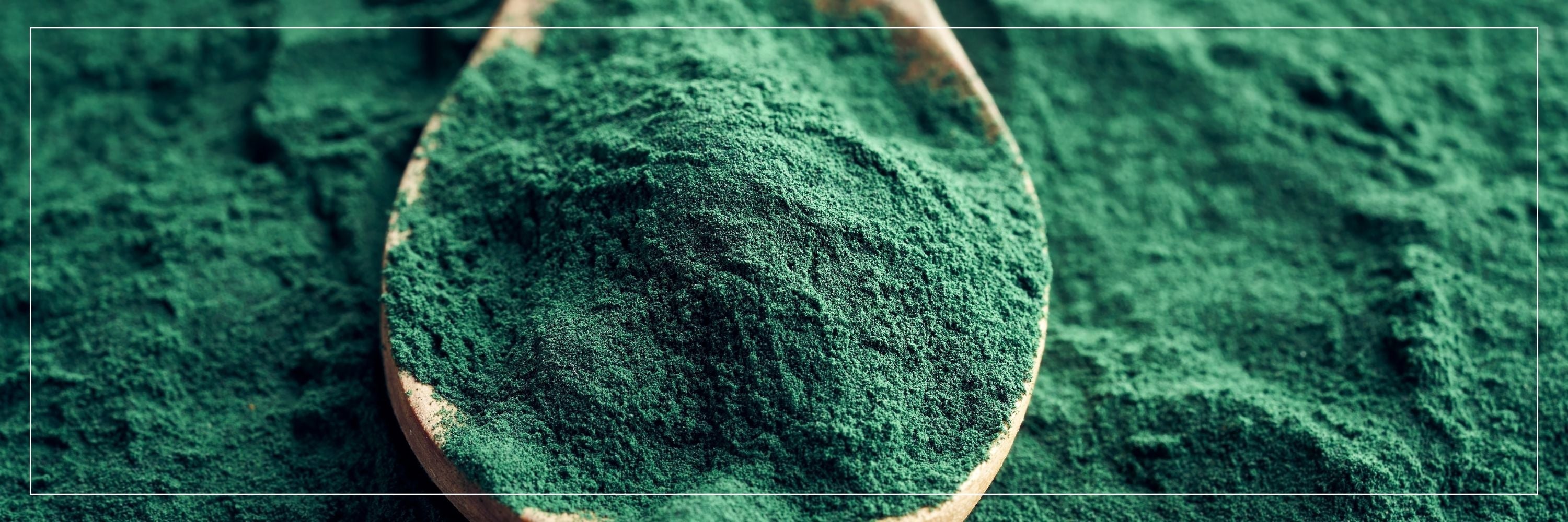 Spirulina Capsules: Nature’s Multivitamin for Energy, Immunity & Detox