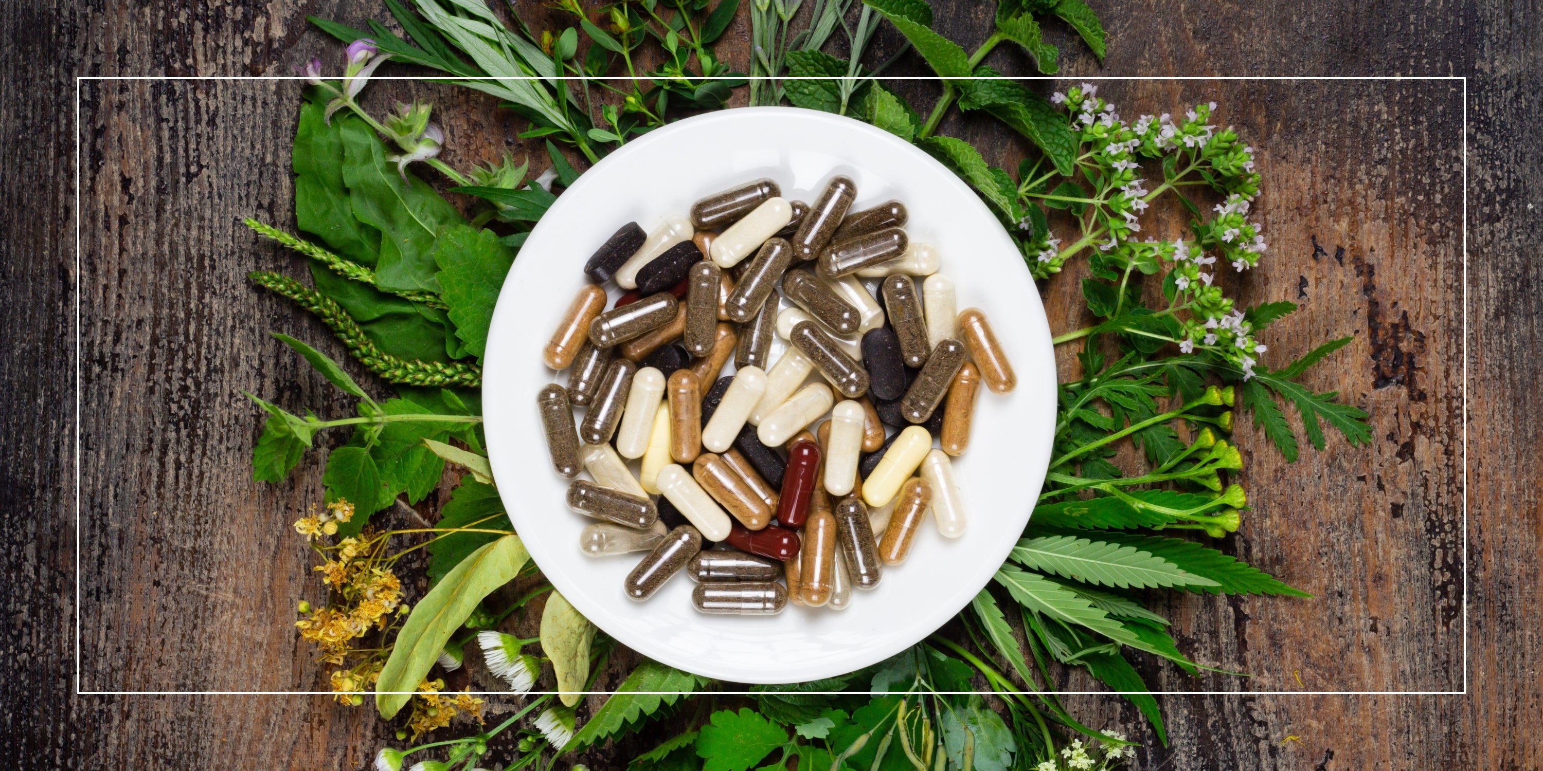 A Guide to Choosing the Best Vegetarian Supplements in India – Clean, Plant-Based & Conscious