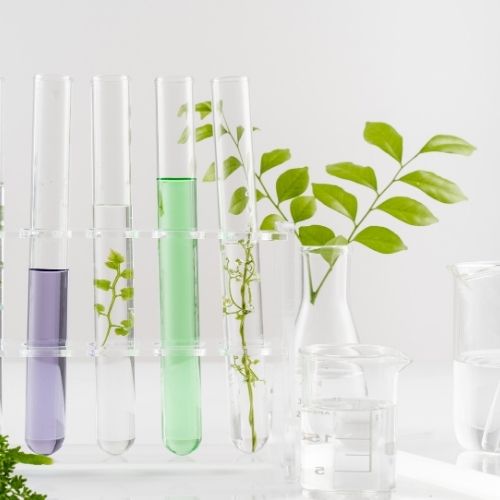 Science-Backed Formulations