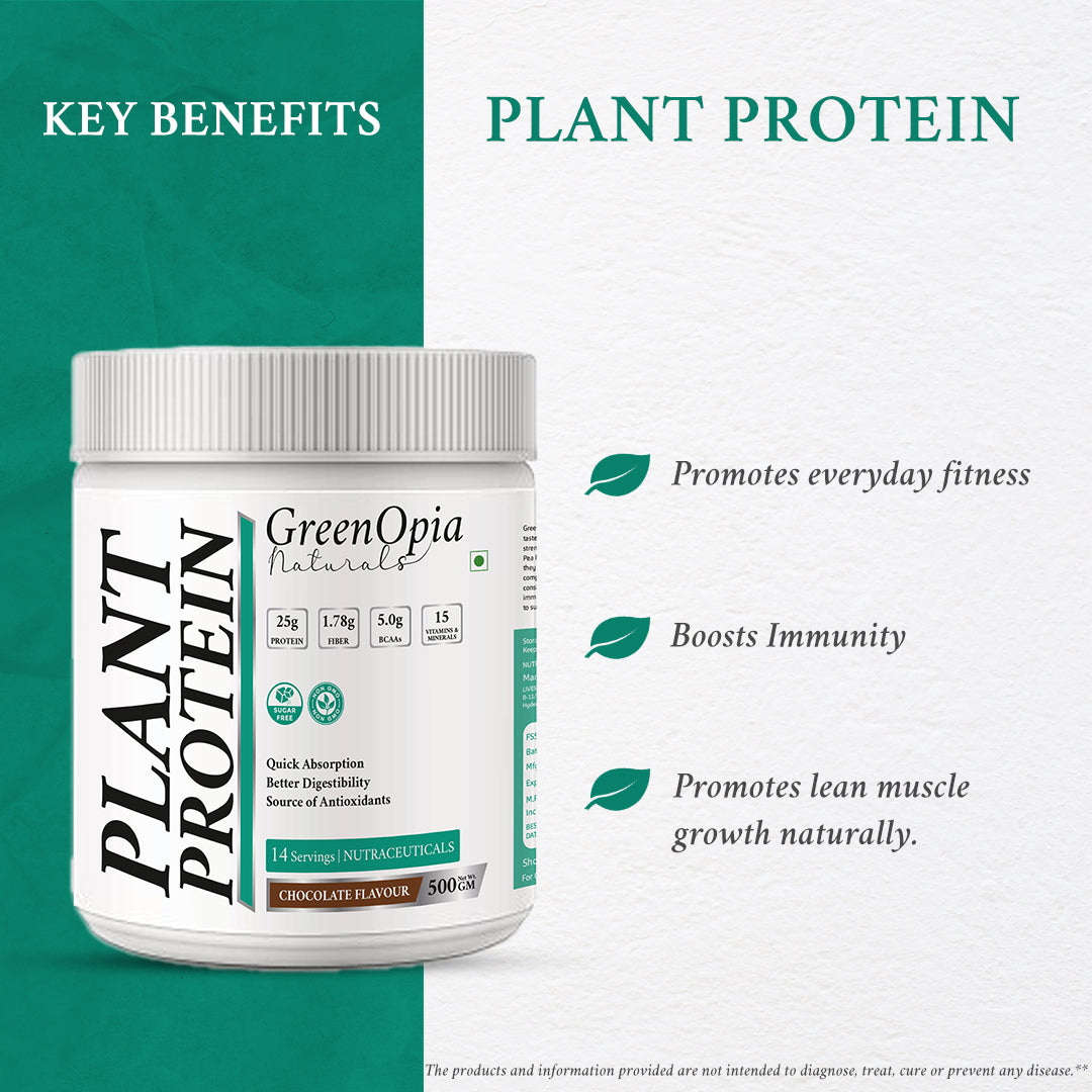 Vegan Plant Protein – Chocolate Flavour | 500g | 24g Plant-Based Protein | Dairy-Free, Gluten-Free, Gut Friendly