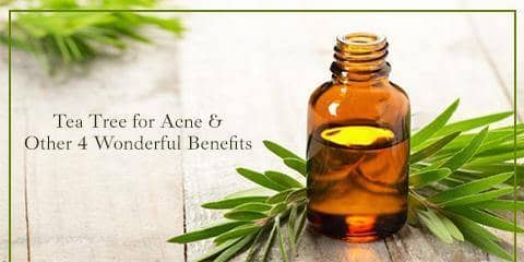 Cure Acne with GreenOpia Naturals Tea Tree Face Wash & Its Other 4 Wonderful Benefits