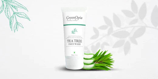 Everything You Should Know About the Benefits of Tea Tree Face Wash by GreenOpia Naturals