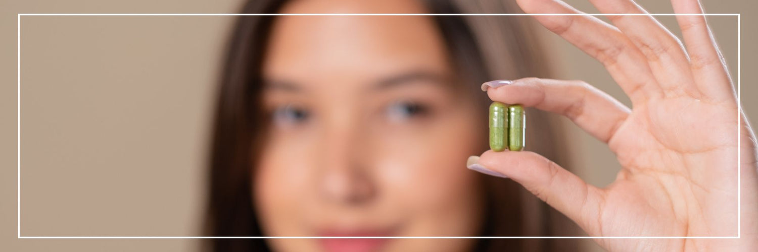 Ayurvedic Capsules for Women’s Wellness: Ingredients You Should Know