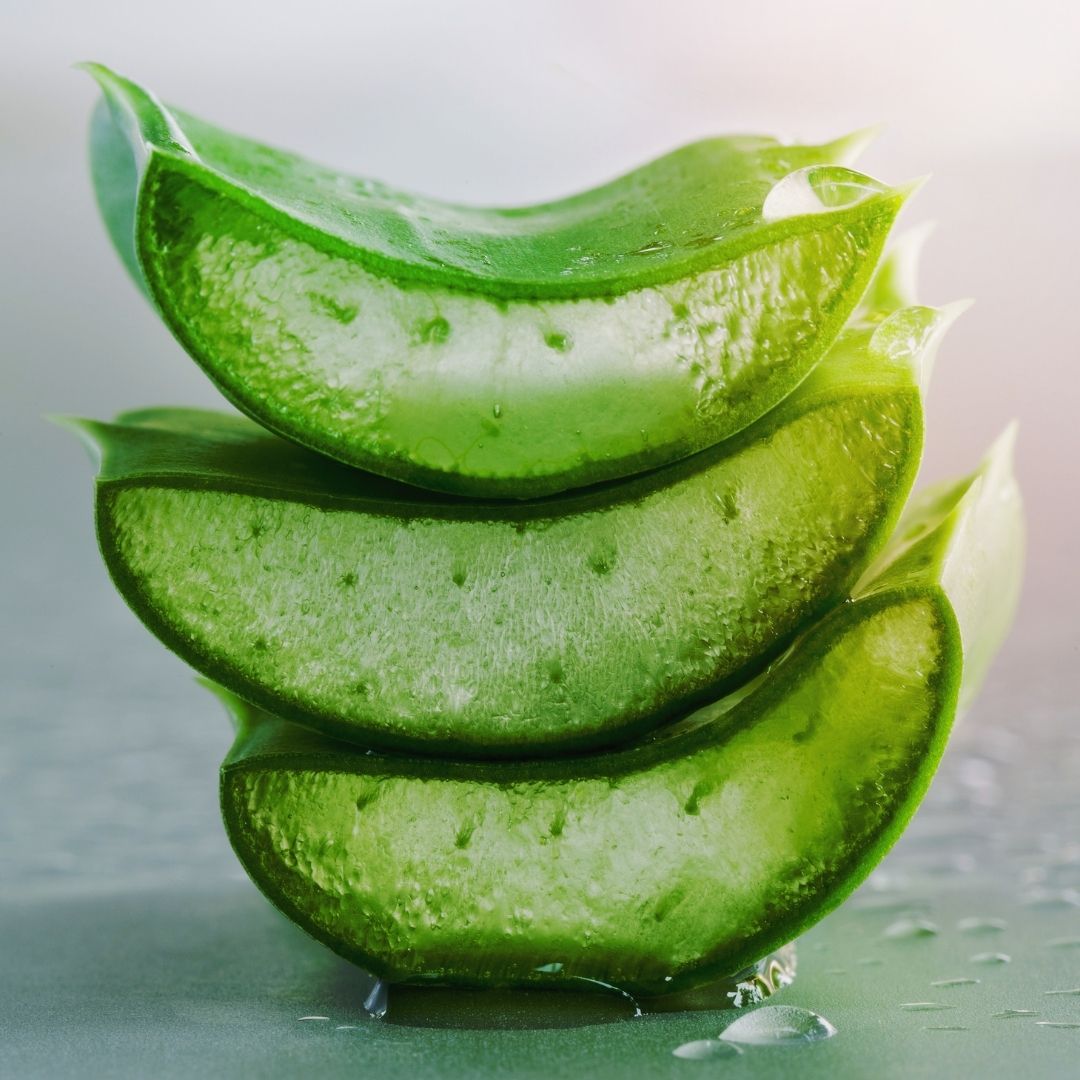 Aloe vera