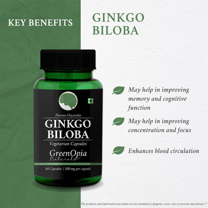 Ginkgo Biloba Capsules – 60 Vegetarian Capsules for Memory, Focus &amp; Brain Health Support