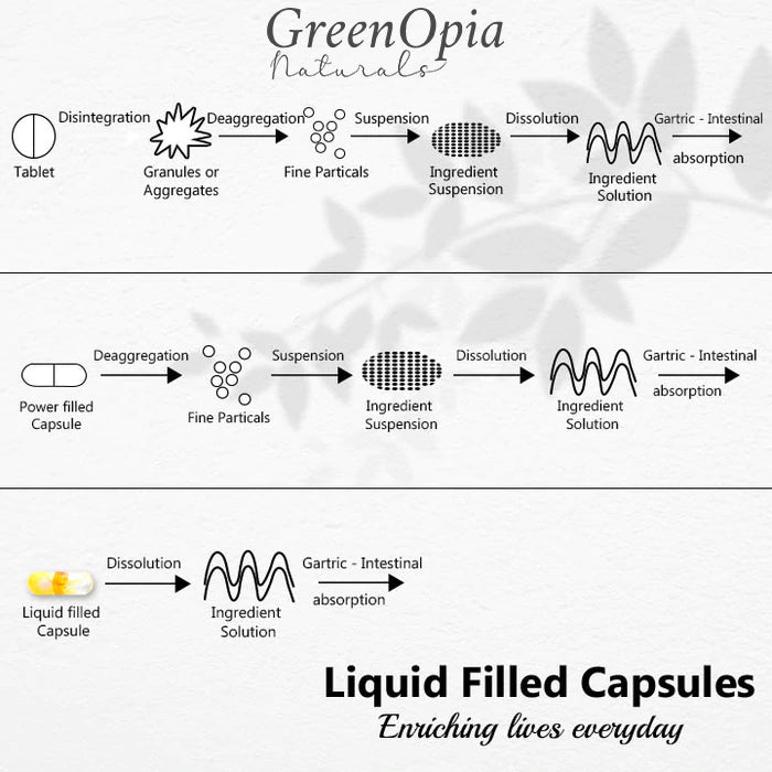 Process of Dissolution of Liquid Filled Capsules