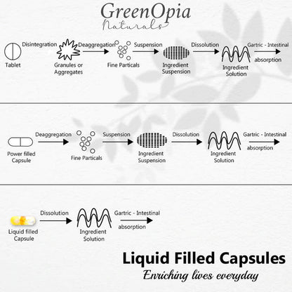 Process of Dissolution of Liquid Filled Capsules