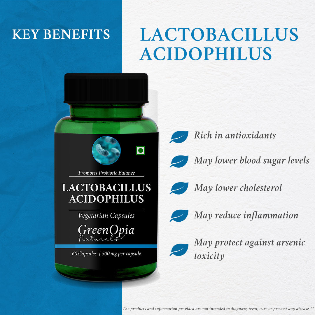 Lactobacillus Acidophilus | 60 Vegetarian Capsules | Lactobacillus Acidophilus for Gut Health &amp; Immunity Support