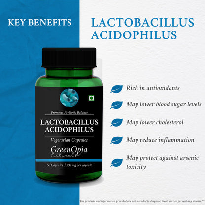 Lactobacillus Acidophilus | 60 Vegetarian Capsules | Lactobacillus Acidophilus for Gut Health &amp; Immunity Support