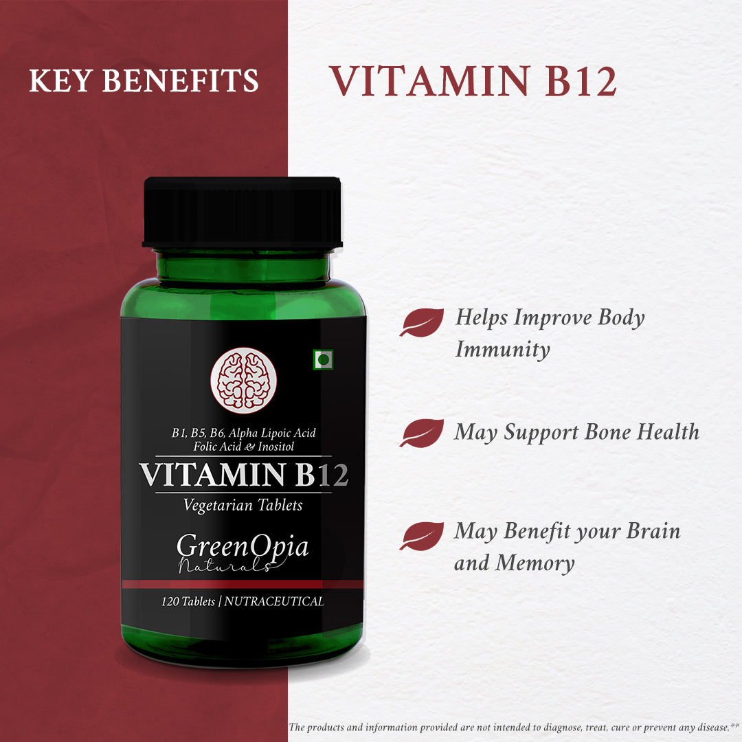 Vitamin B12 + ALA Supplement – 120 Vegetarian Tablets | Energy, Nerve &amp; Brain Support | Methylcobalamin &amp; Alpha Lipoic Acid