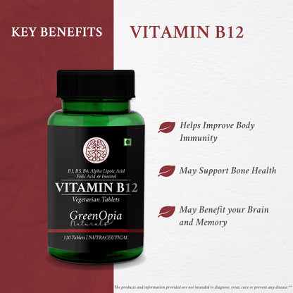 Vitamin B12 + ALA Supplement – 120 Vegetarian Tablets | Energy, Nerve &amp; Brain Support | Methylcobalamin &amp; Alpha Lipoic Acid