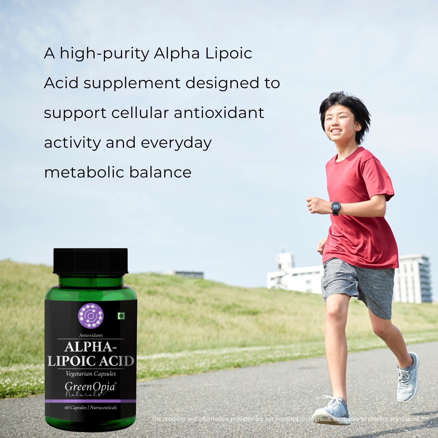 Alpha Lipoic Acid Vegetarian Capsules