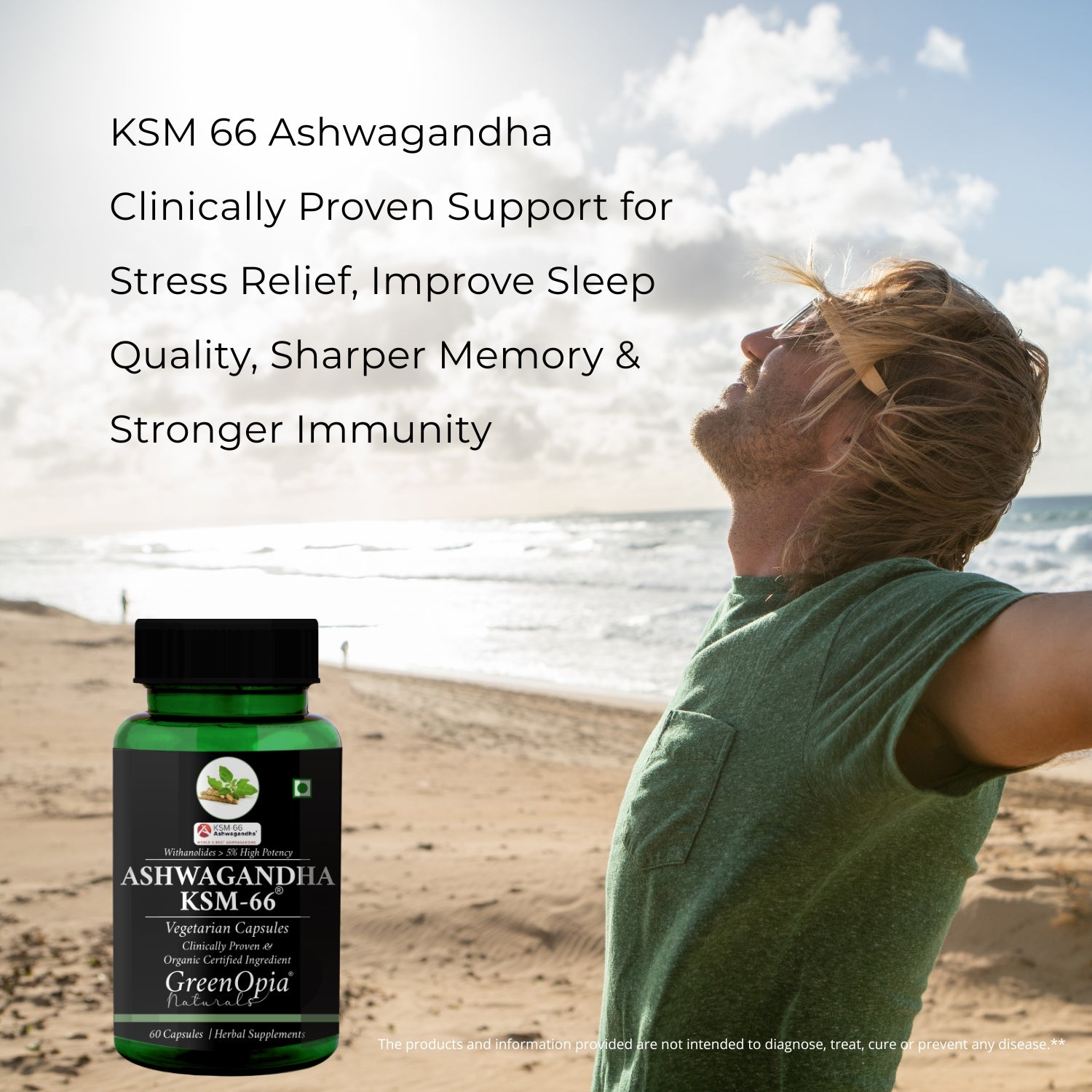 Ashwagandha KSM-66 60 Vegetarian Capsules
