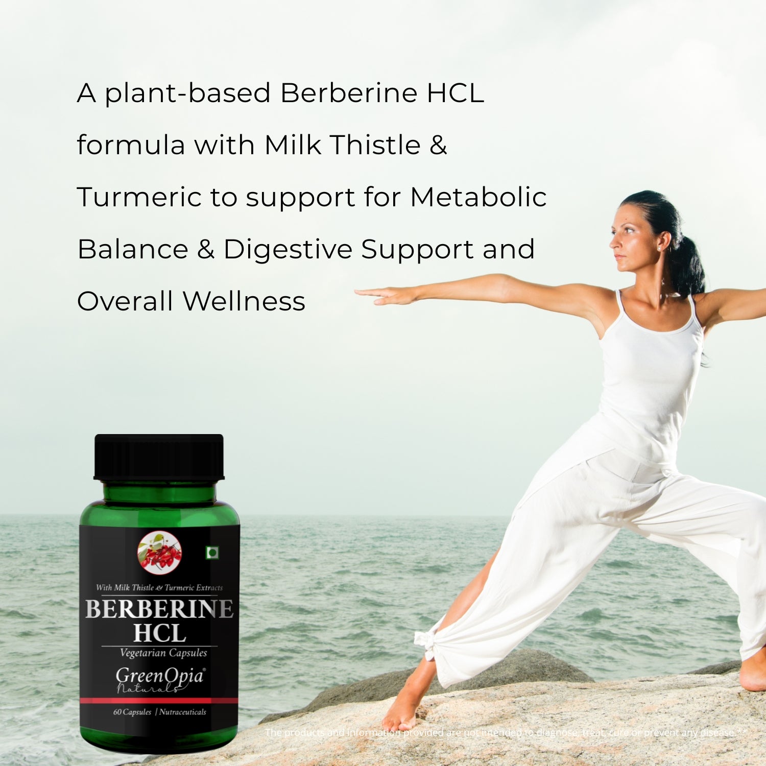 Berberine HCL | Berberine + Milk Thistle & Turmeric Extracts 60 Vegetarian Capsules