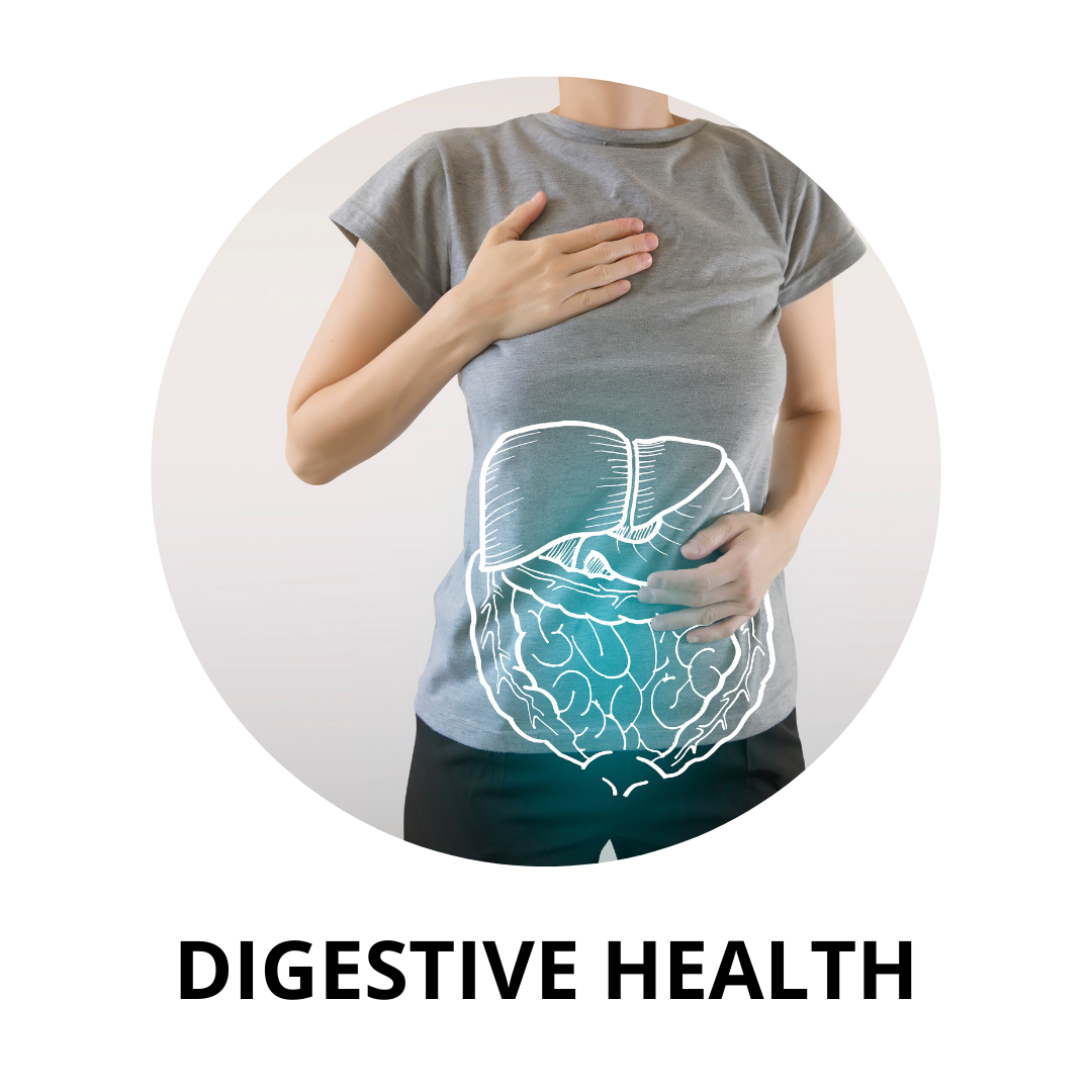 Natural Digestive Health Capsules and Herbal Remedies – GreenOpia Ayurveda