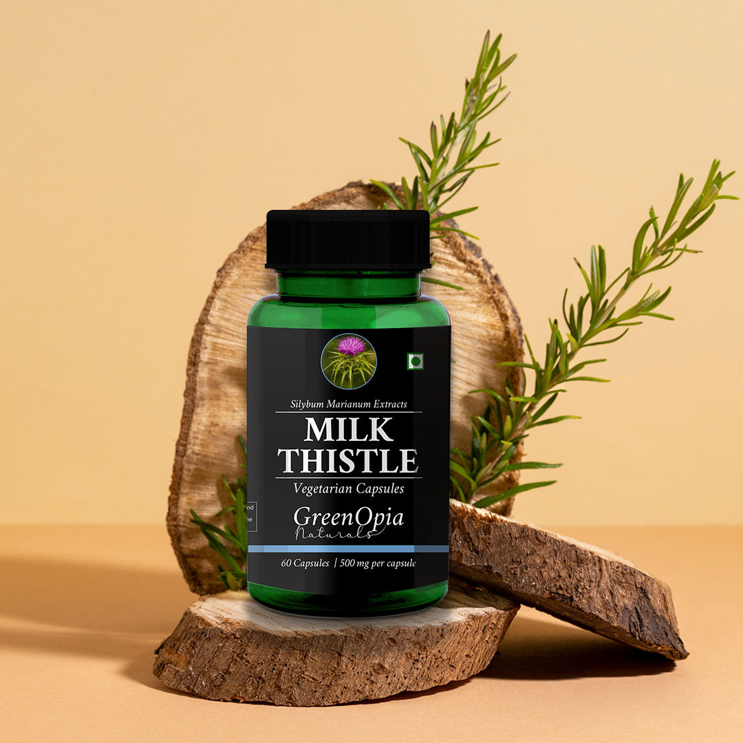 Milk Thistle Plant – Source of Silymarin, Used for Liver Detox and Repair