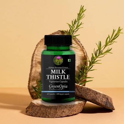 Milk Thistle Plant – Source of Silymarin, Used for Liver Detox and Repair