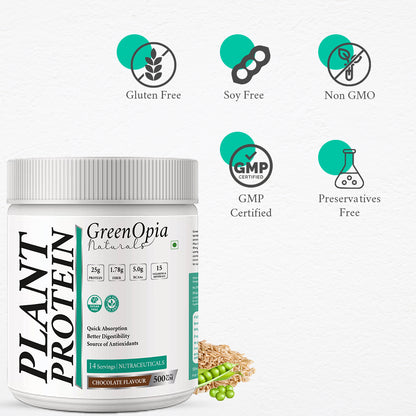 Vegan Plant Protein – Chocolate Flavour | 500g | 24g Plant-Based Protein | Dairy-Free, Gluten-Free, Gut Friendly