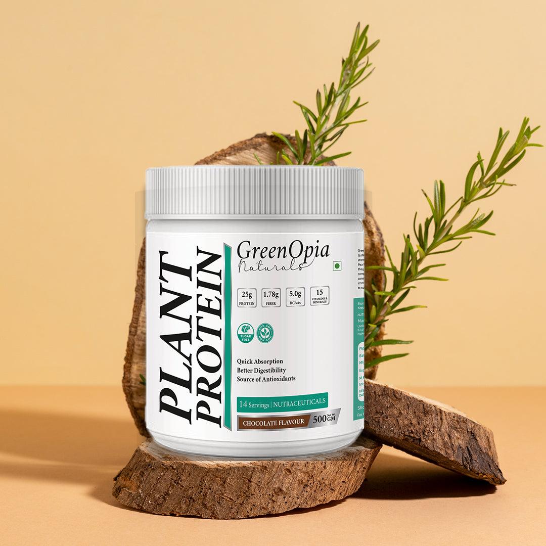 Vegan Plant Protein – Chocolate Flavour | 500g | 24g Plant-Based Protein | Dairy-Free, Gluten-Free, Gut Friendly