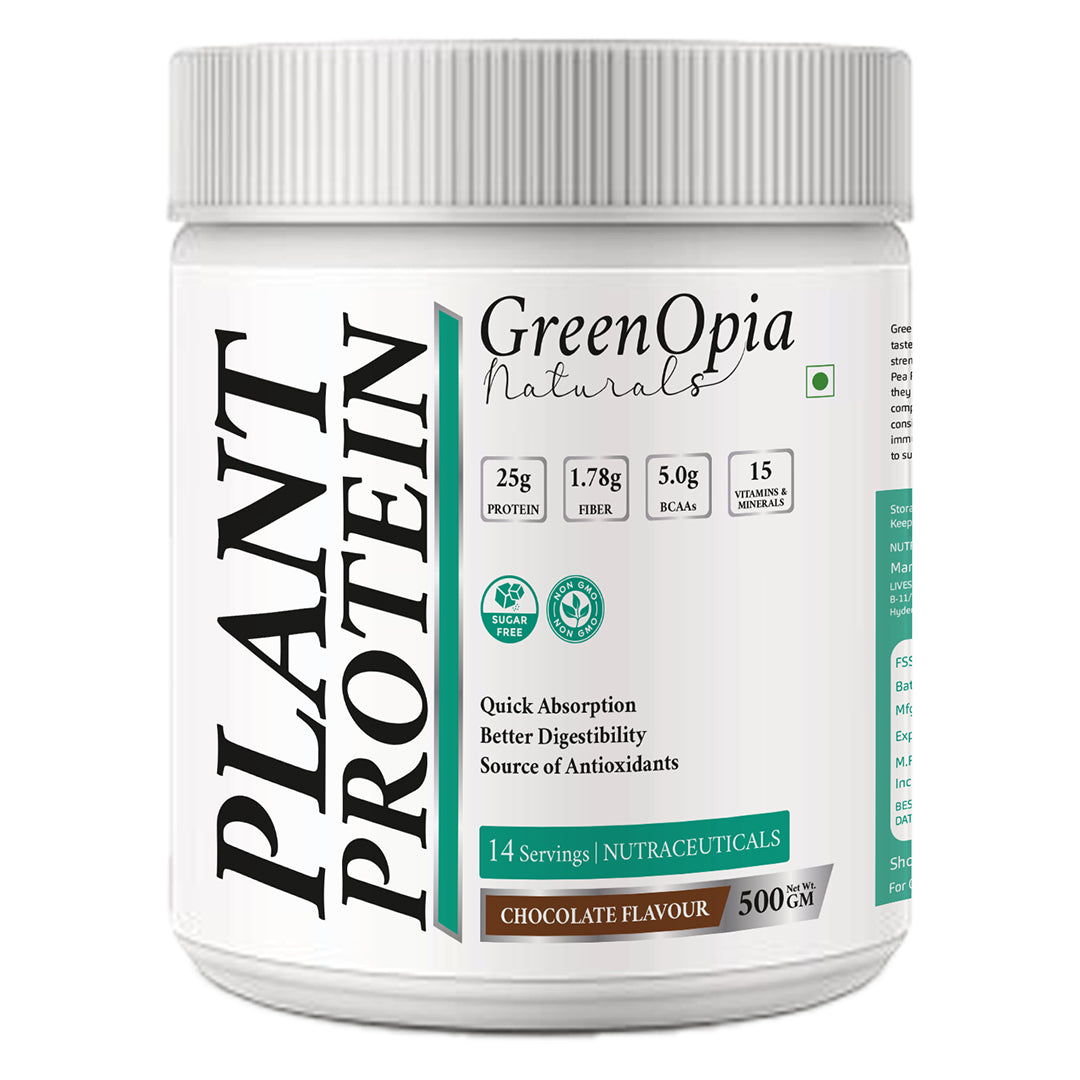 Vegan Plant Protein – Chocolate Flavour | 500g | 24g Plant-Based Protein | Dairy-Free, Gluten-Free, Gut Friendly